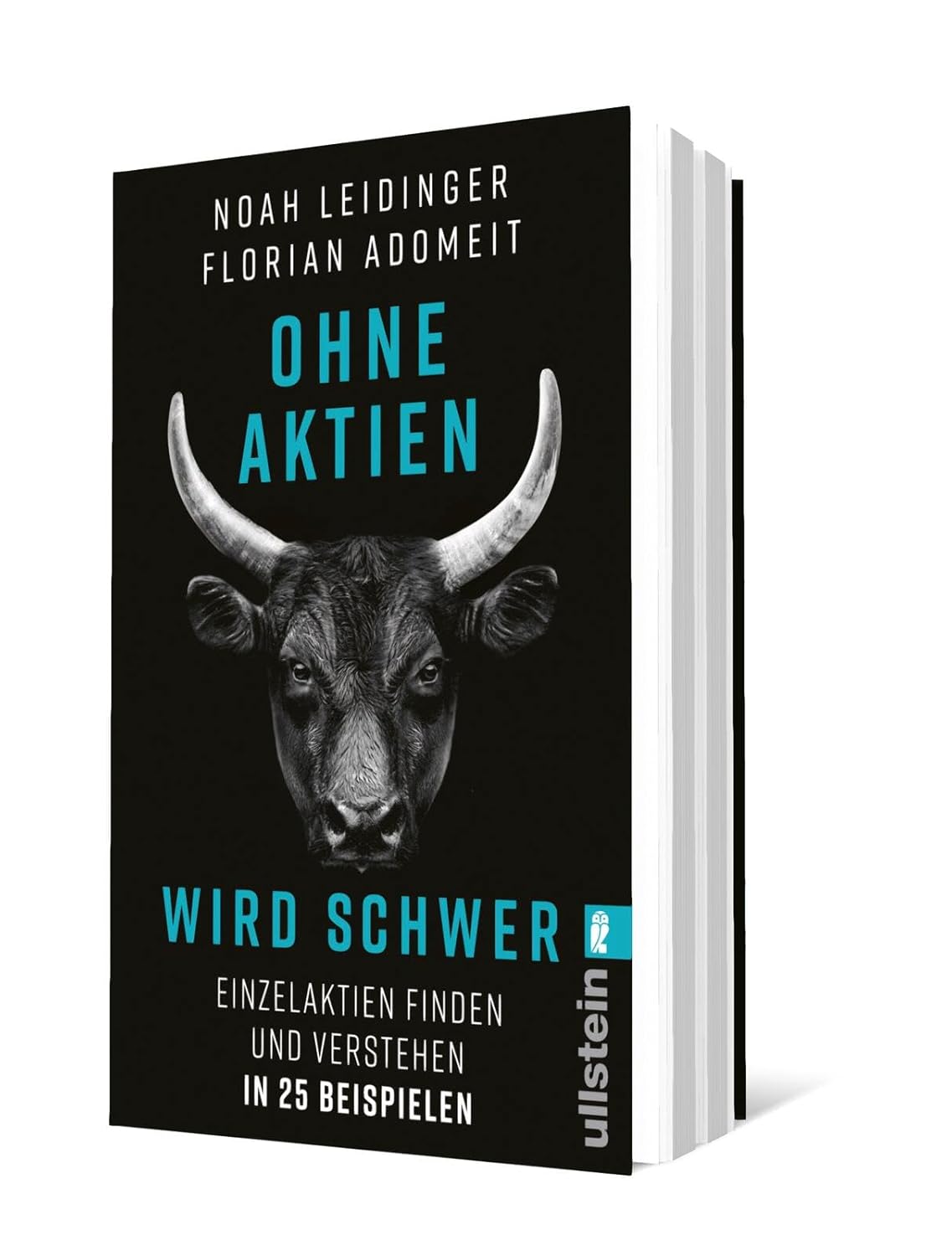 Ohne Aktien Wird Schwer: Einzelaktien finden und verstehen in 25 Beispielen | Warum ETFs nicht immer die beste Lösung sind und wie Du die richtige Aktie findest