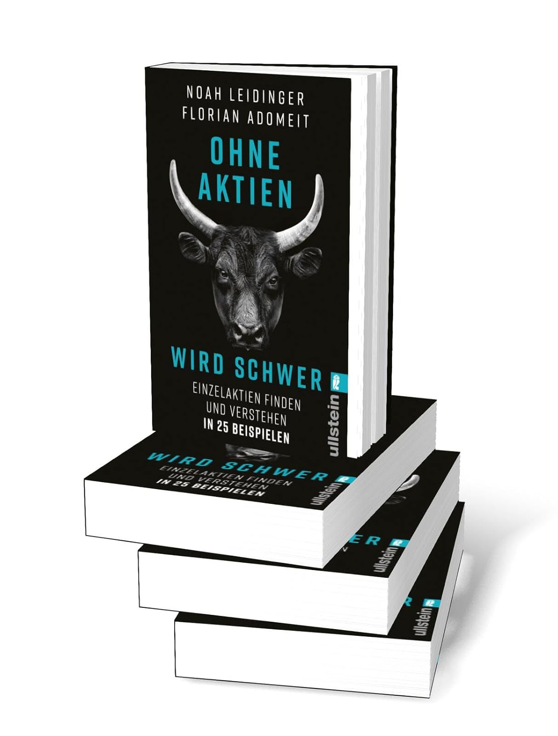 Ohne Aktien Wird Schwer: Einzelaktien finden und verstehen in 25 Beispielen | Warum ETFs nicht immer die beste Lösung sind und wie Du die richtige Aktie findest